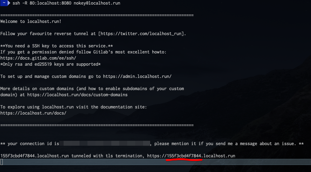 localhost.run subdomain