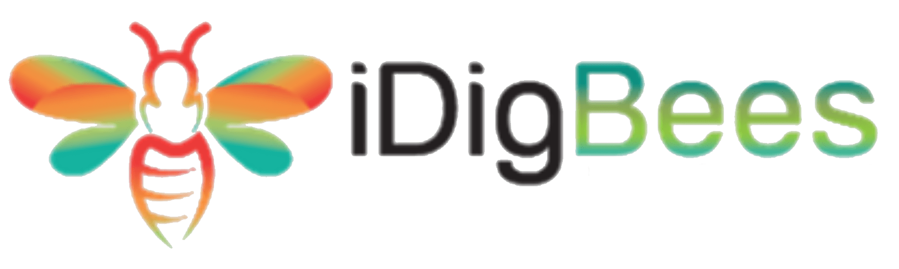 The iDigBees logo with a colourful bee and the iDigBees text on the right
