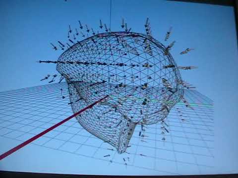 Octopus-deformable-model