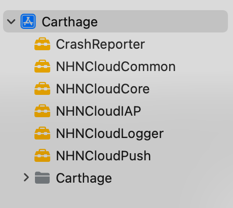 import_carthage_frameworks_complete