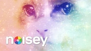 Favored Nations - "Regular Pussy"  Official Video 