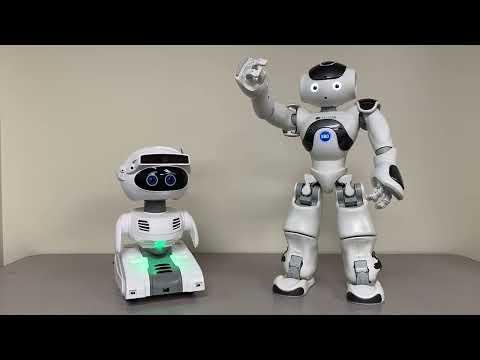 Watch a comparison of the NAO and Misty behaviors