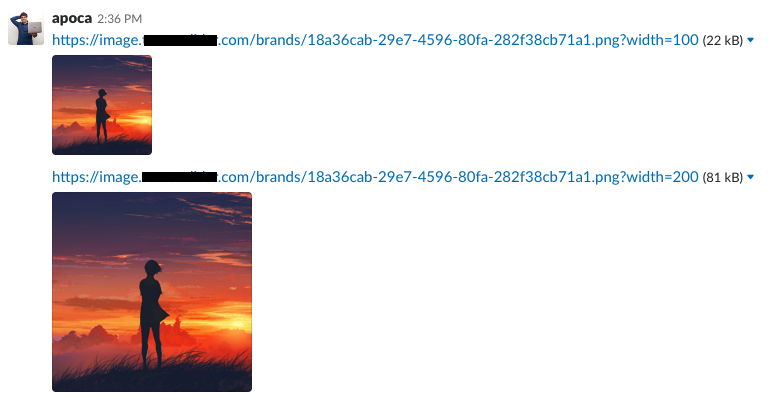 Example usage of lambda resize image