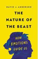 Book cover of The Nature of the Beast