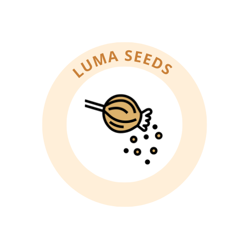 Luma Seeds