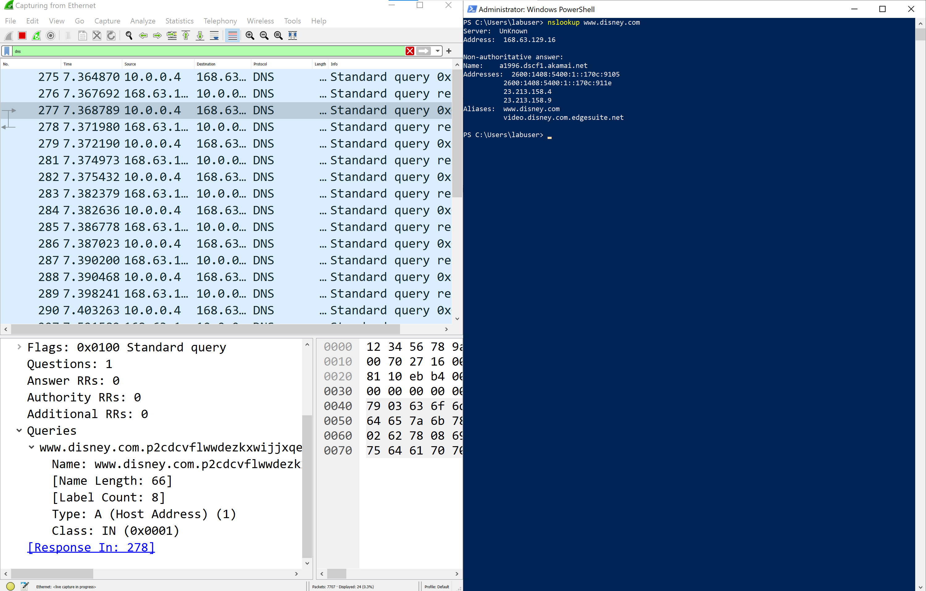 dns traffic