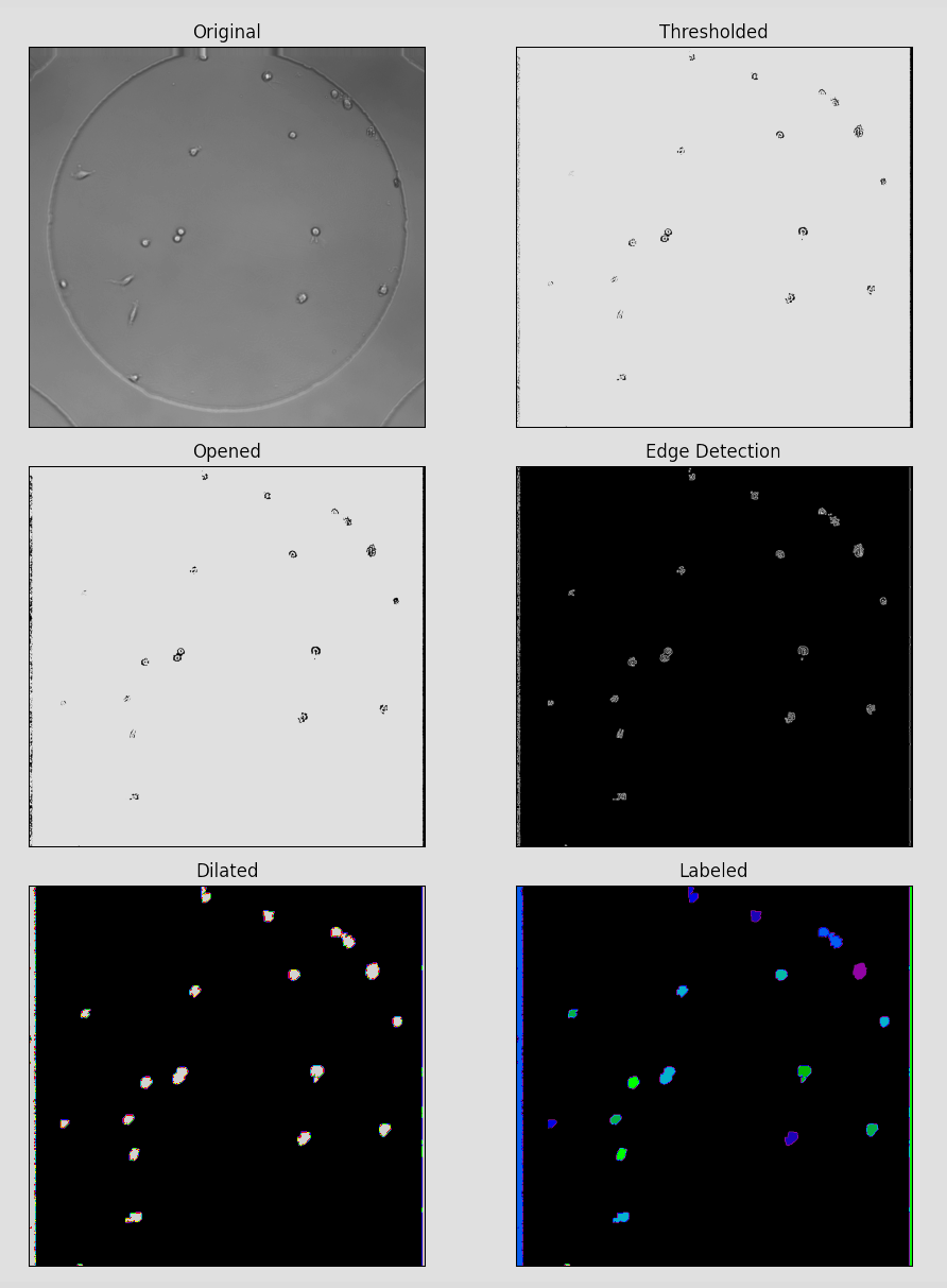 Microscope Cell Image Processing