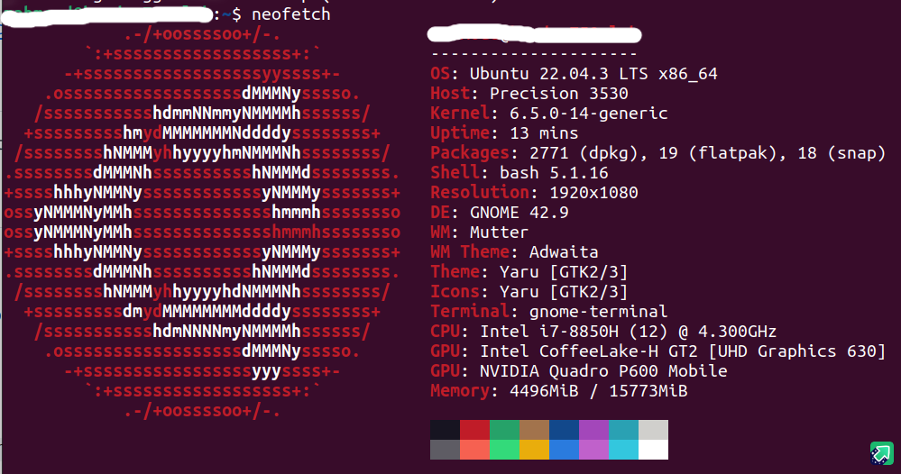 neofetch output