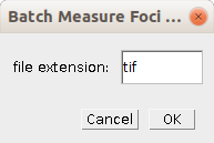 foci_batch_options.png