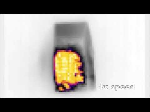 Thermal Camera Demo