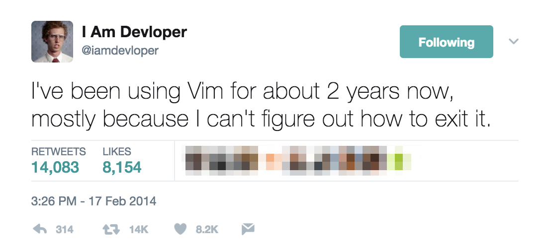 vim image