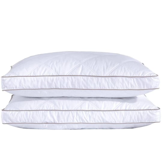 puredown-goose-down-feather-pillow-2-pack-standard-queen-1