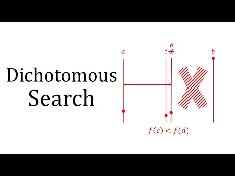 Dichotomous Search video