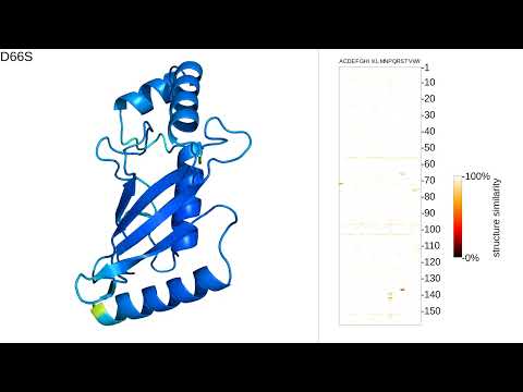 Protein mutation movie