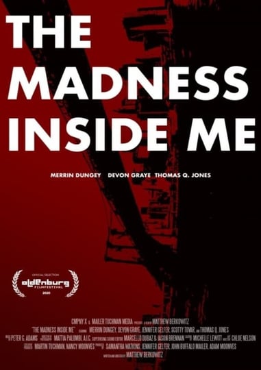 the-madness-inside-me-4431971-1