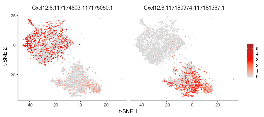 Relative expression TSNE Plot