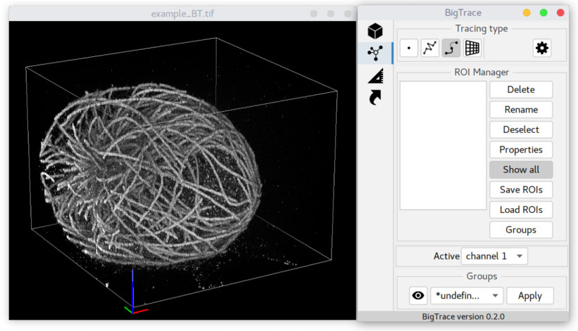 initial start view of BigTrace