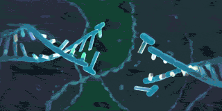 Bioinformatics GIF