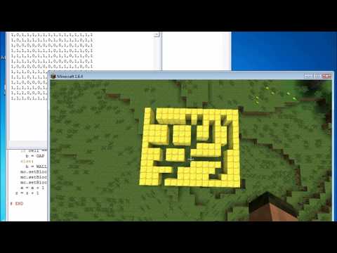 Maze Video
