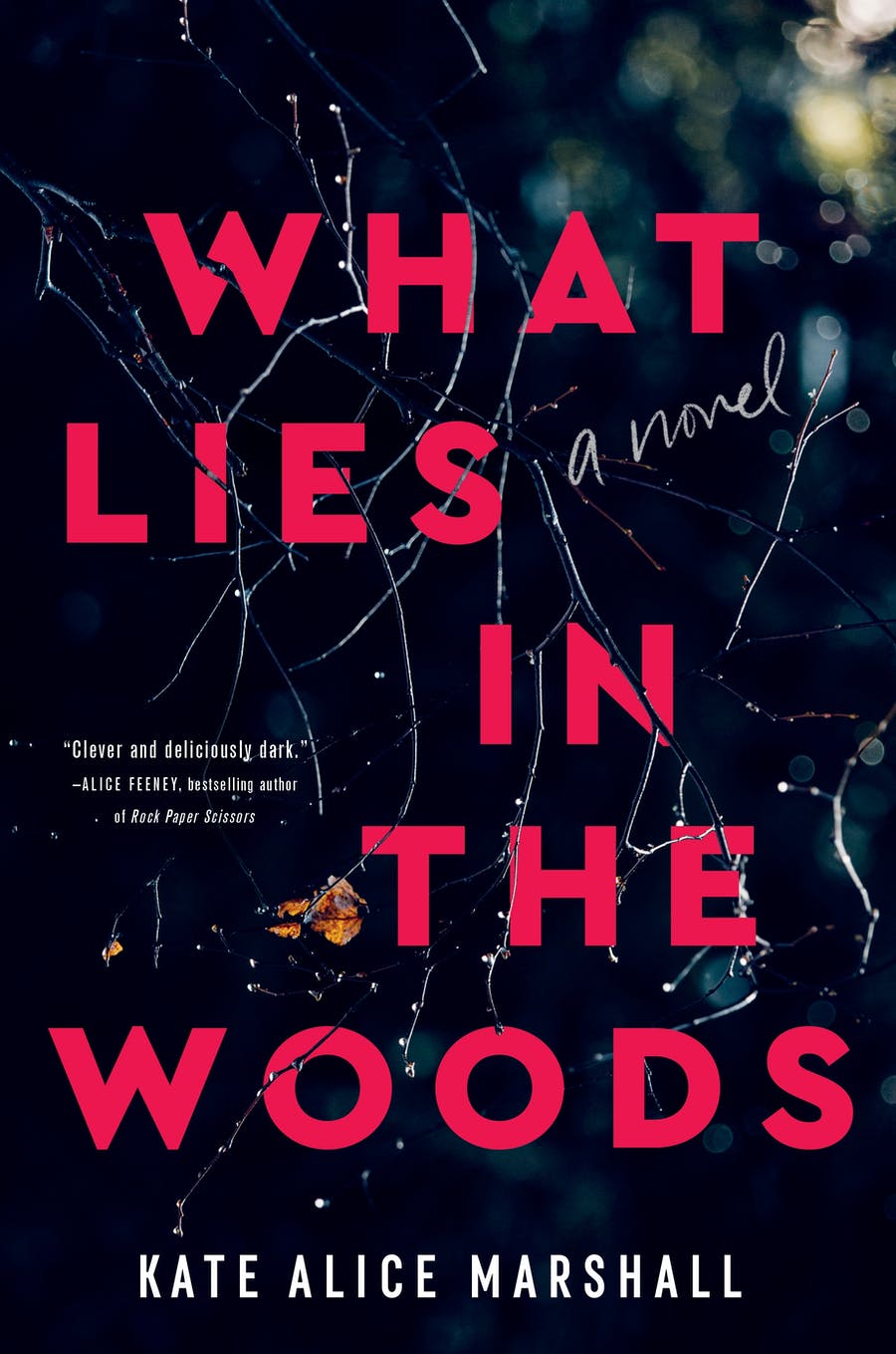 ebook download What Lies in the Woods