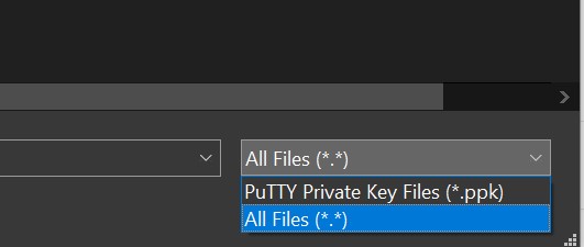 All Files (*.*)