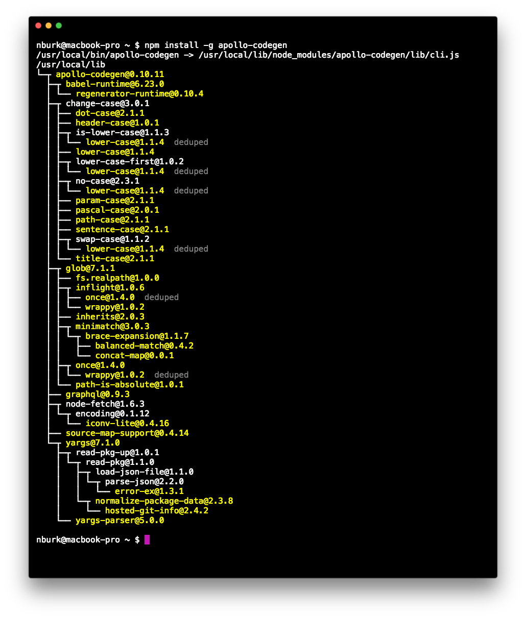 NPM results from apollo-codegen installation