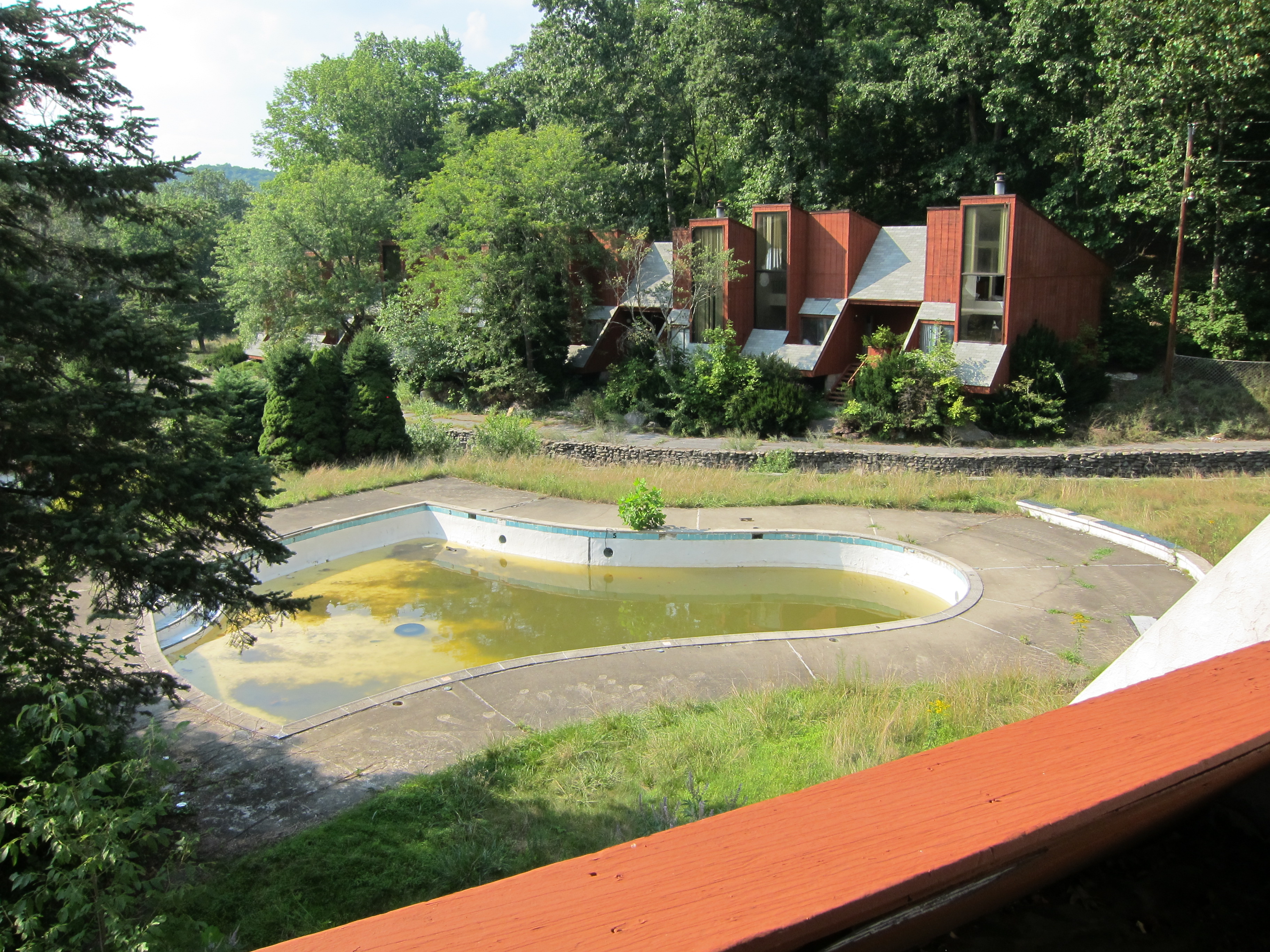 Pool on an abandoned property