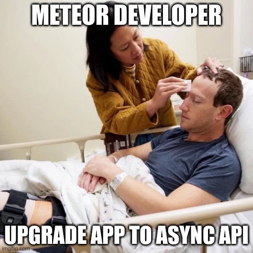 Meteor Developer