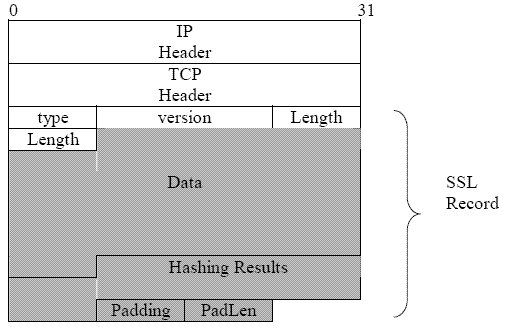 TLS Packet Format