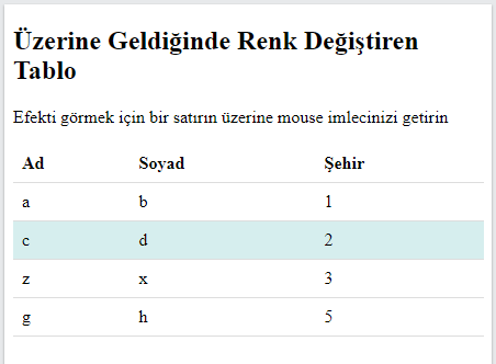 Çıktı