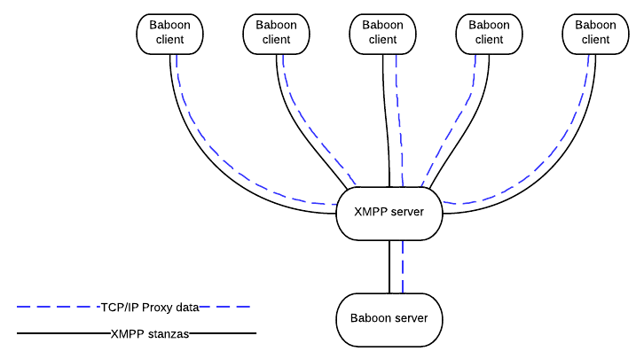 Baboon's architecture