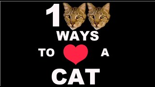 100 Ways To Love A Cat: Ways 1-100