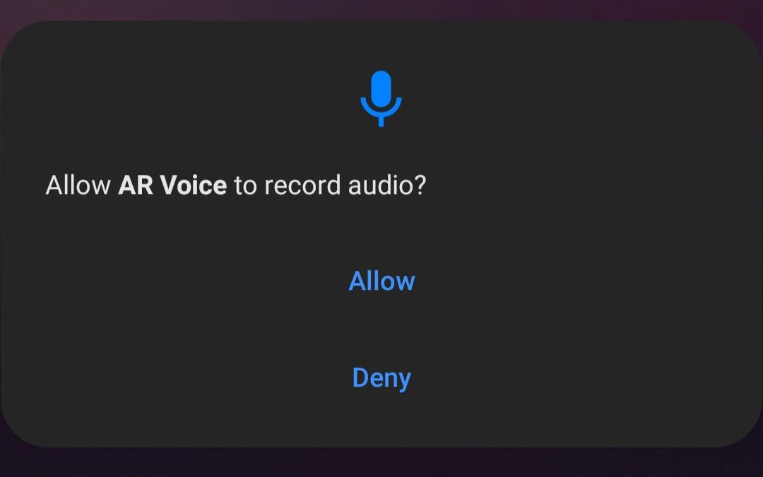 Provide Audio permissions