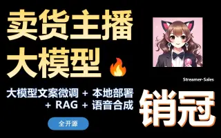 图片[3]-最新 Streamer-Sales 销冠 —— 虚拟人直播卖货主播大模型 - NowX 游读社-NowX 游读社