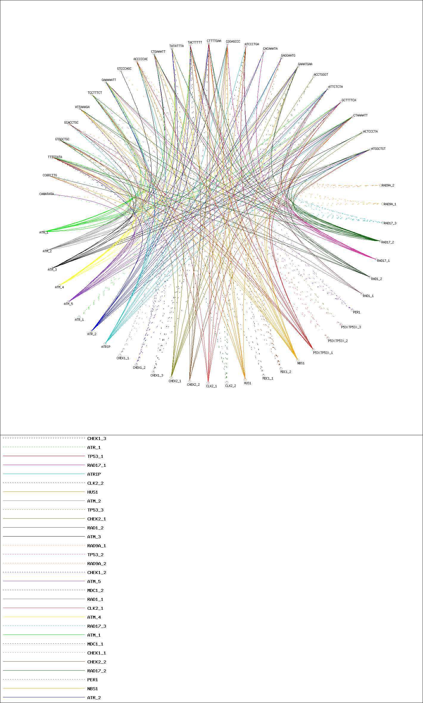 Motifs Visualization