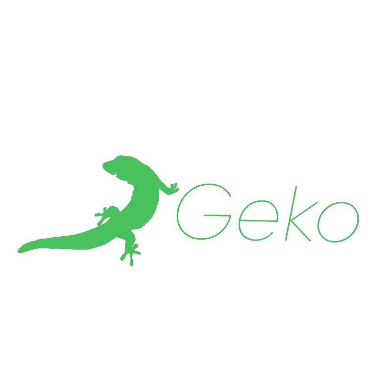 Learning  Geko.