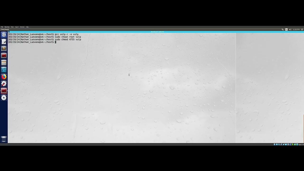 Race Condition Vulnerability Lab Walkthrough