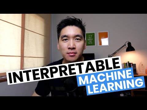 Interpretable Machine Learning Models