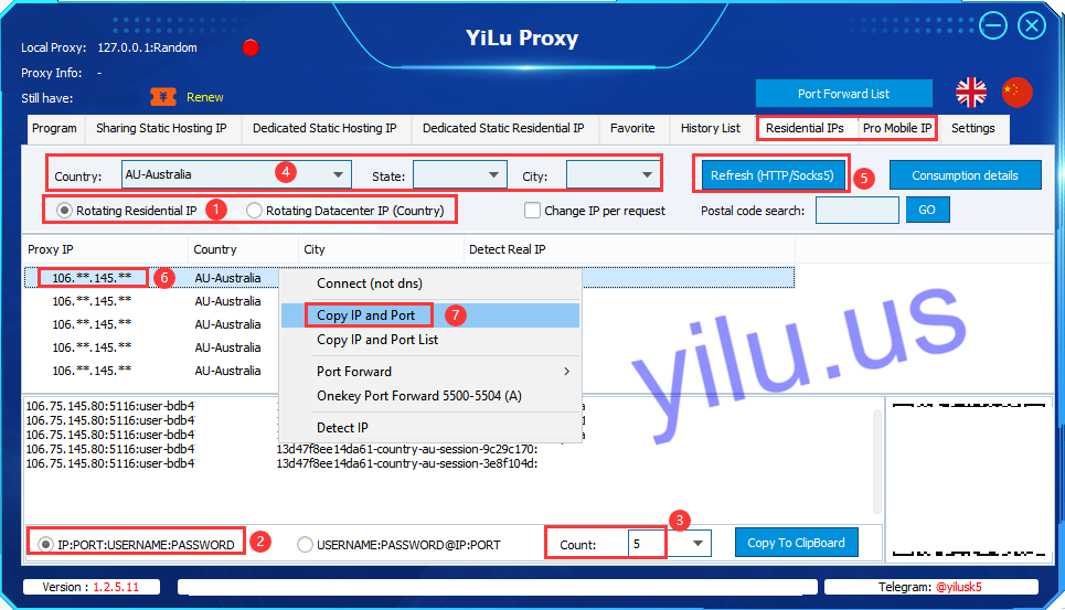 BP Proxy Switcher & YiLu Proxy