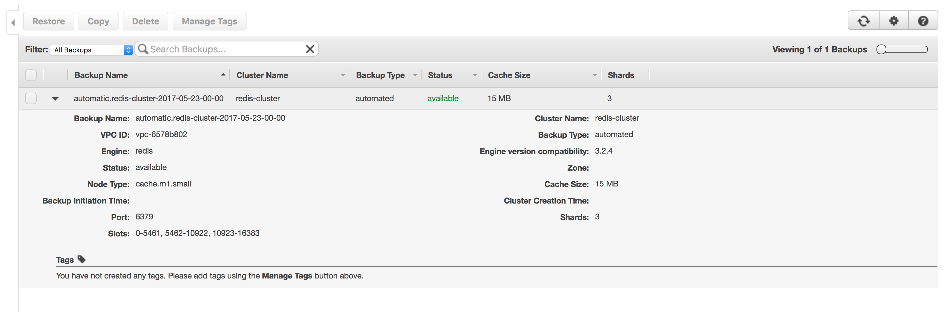 elasticache cluster backups