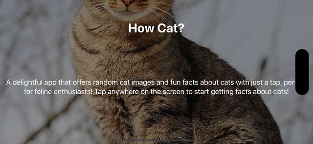 HowCat App Screenshots