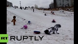 Madagascar Mascot Fight Club: Costumed characters beat man at Russian snow slide