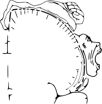 A 2-D cortical motor homunculus from Wikipedia.