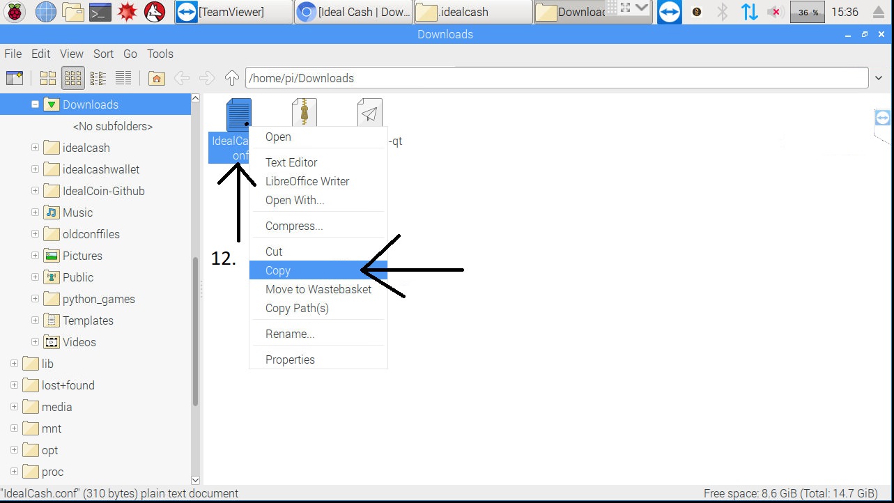 Right Click IdealCash.conf and press copy