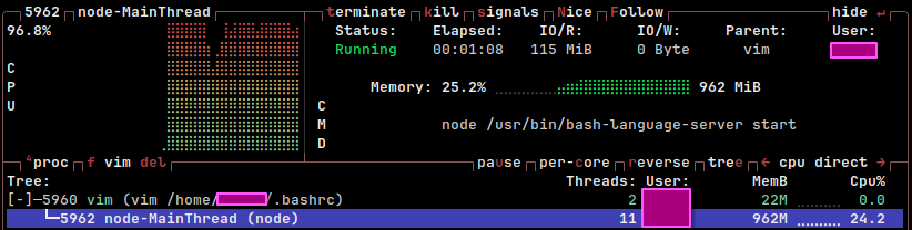 screenshot of btop showing language server (node) process