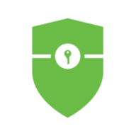 spring security logo