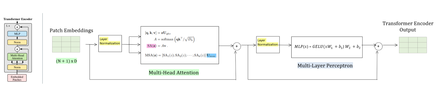 Transformer Encoder