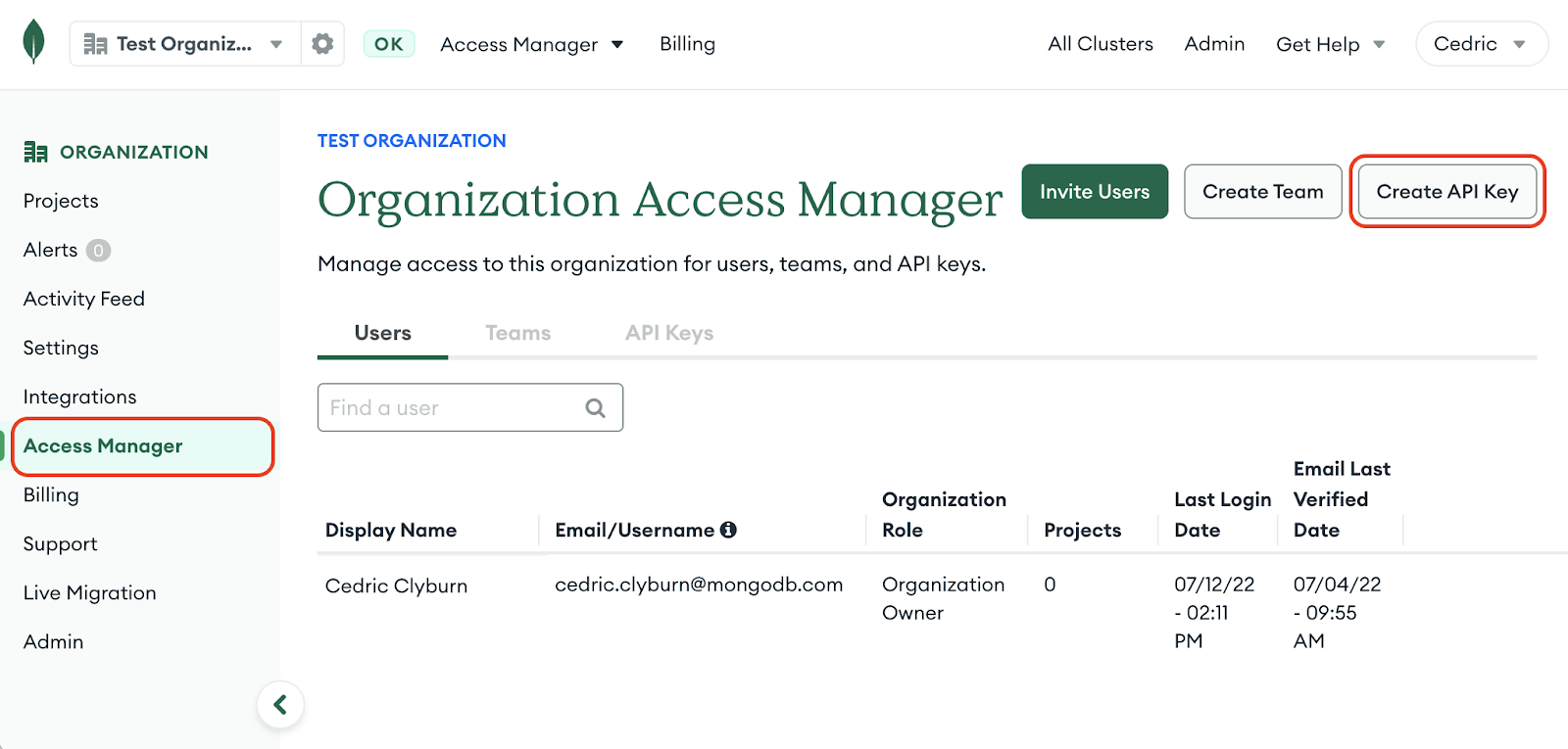 Creating a new API key from the access manager page