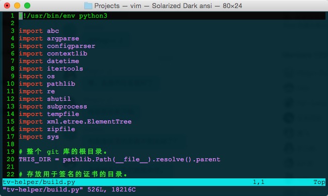 Screenshot of my vim