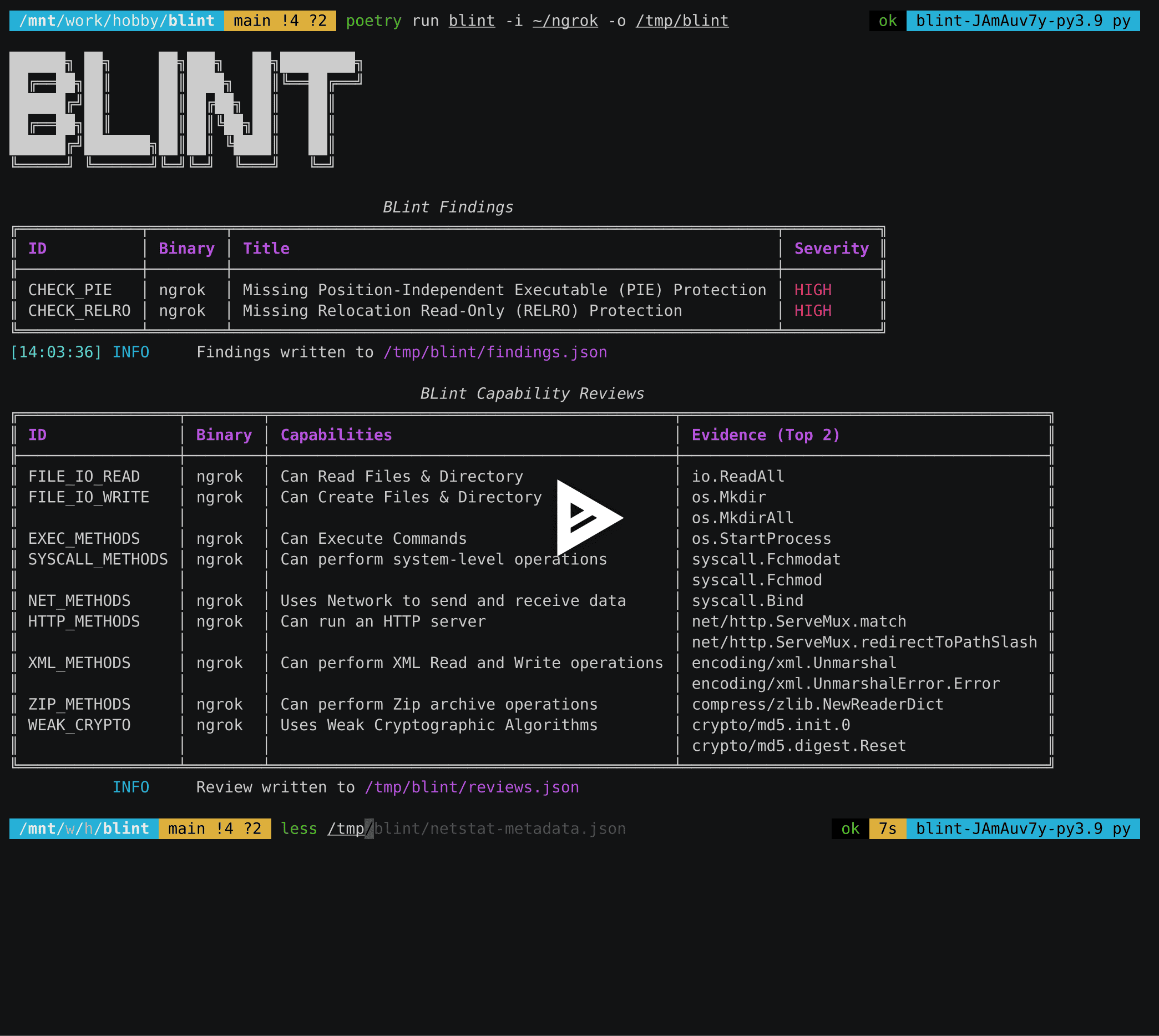 BLint Demo